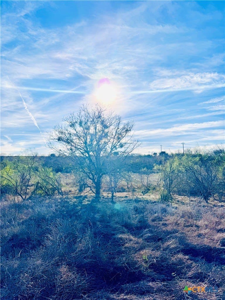 11.48 acres in Guadalupe County - photo 7