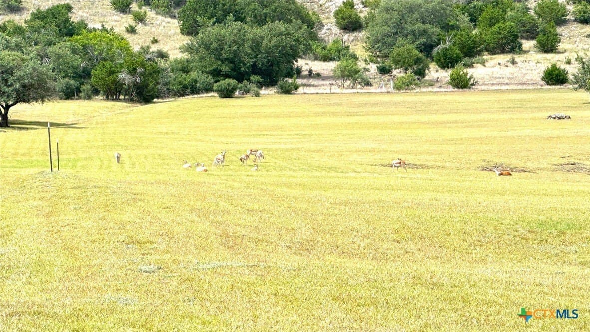 5.01 acres in Lampasas County - photo 6