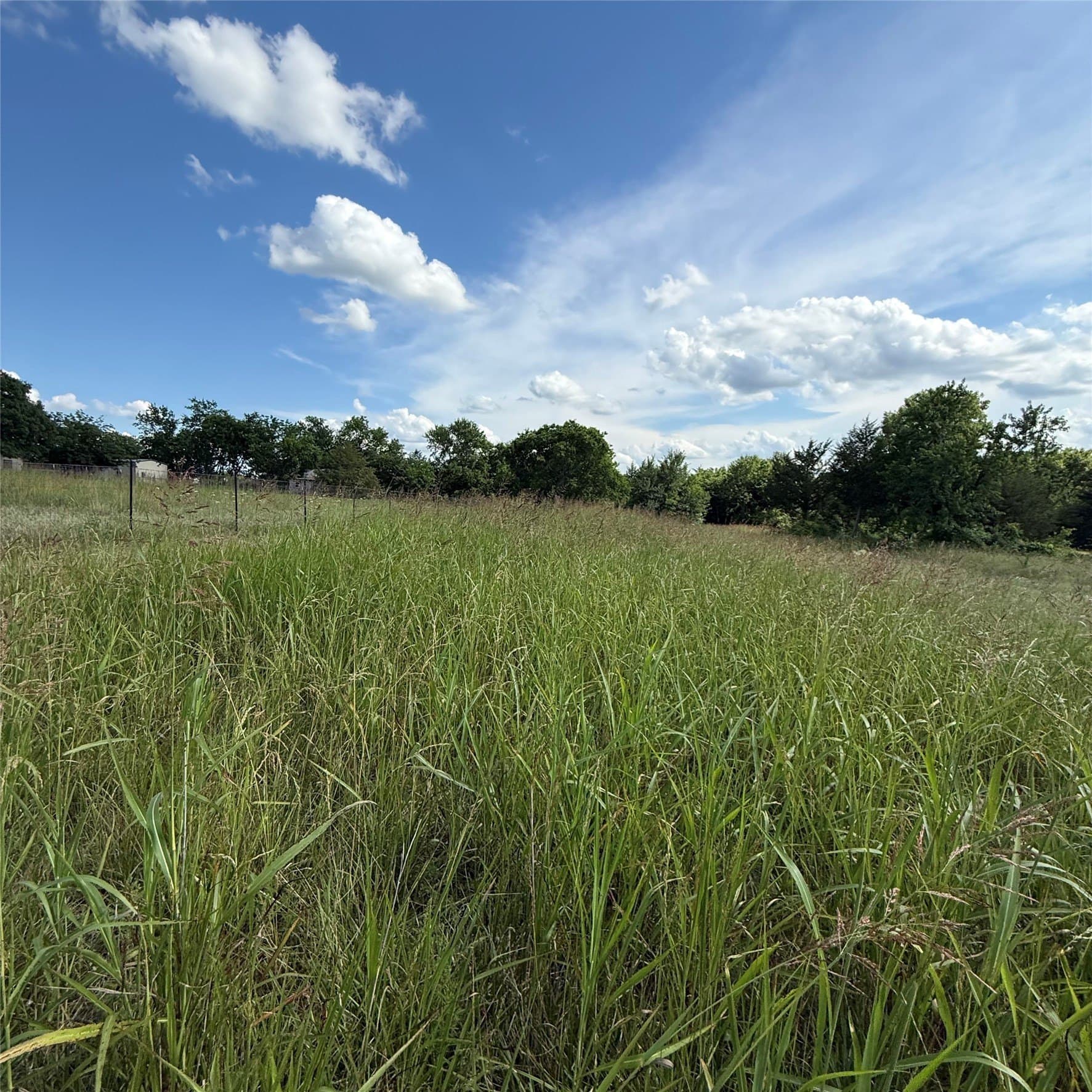 3.61 acres in Grayson County gallery image 2