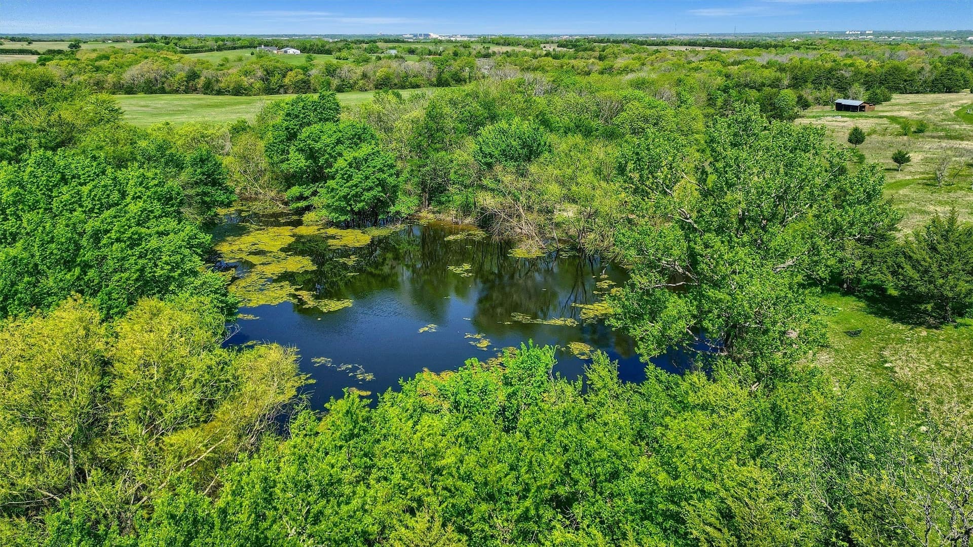3.61 acres in Grayson County - photo 15
