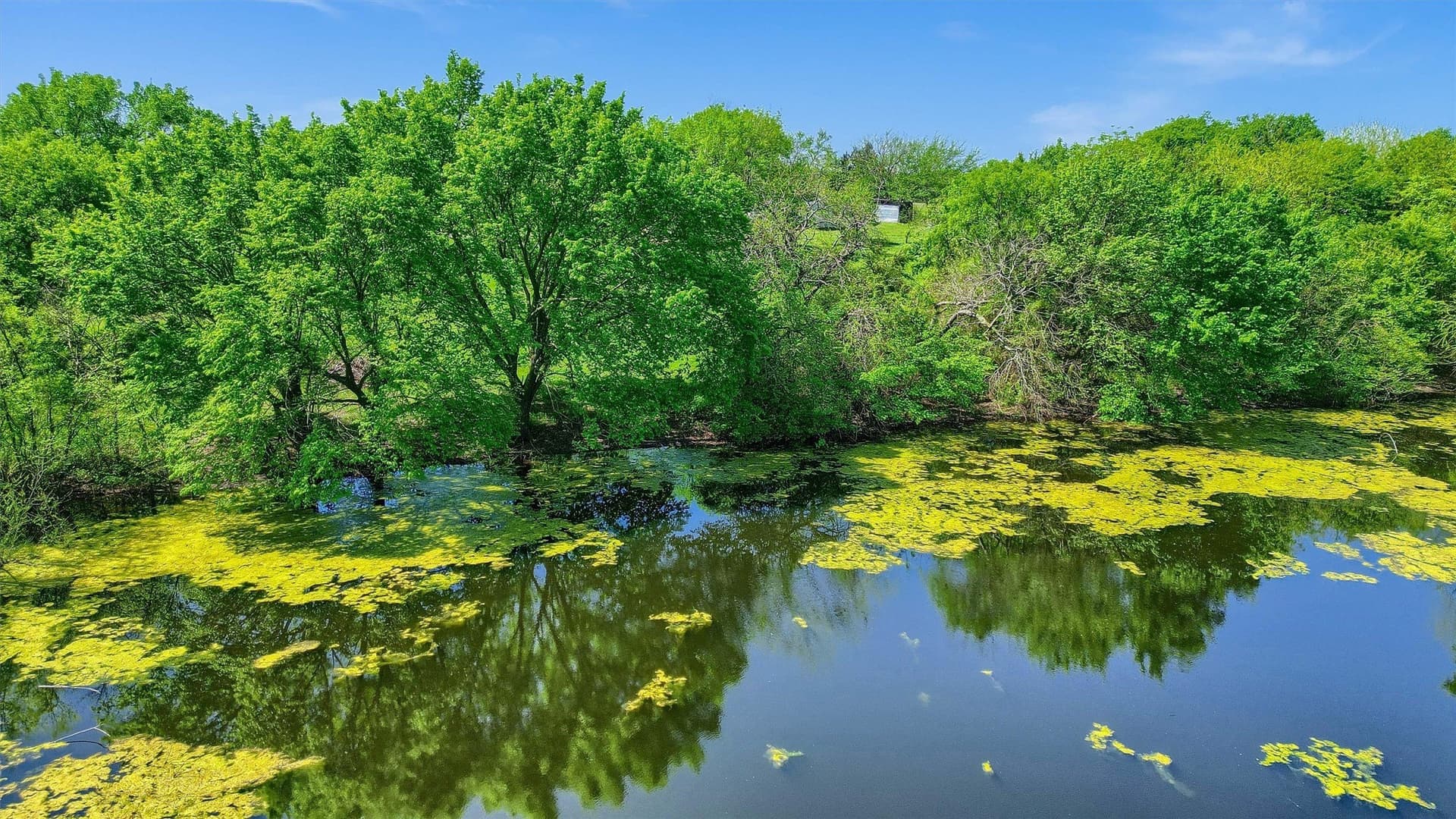 3.61 acres in Grayson County - photo 6
