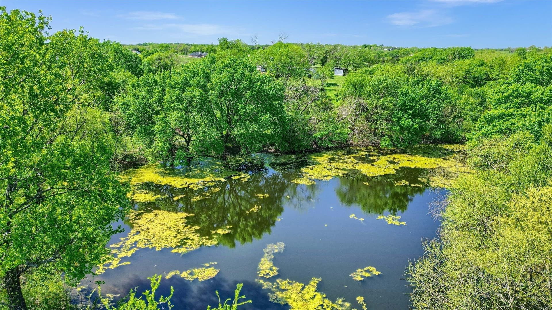 3.61 acres in Grayson County - photo 20