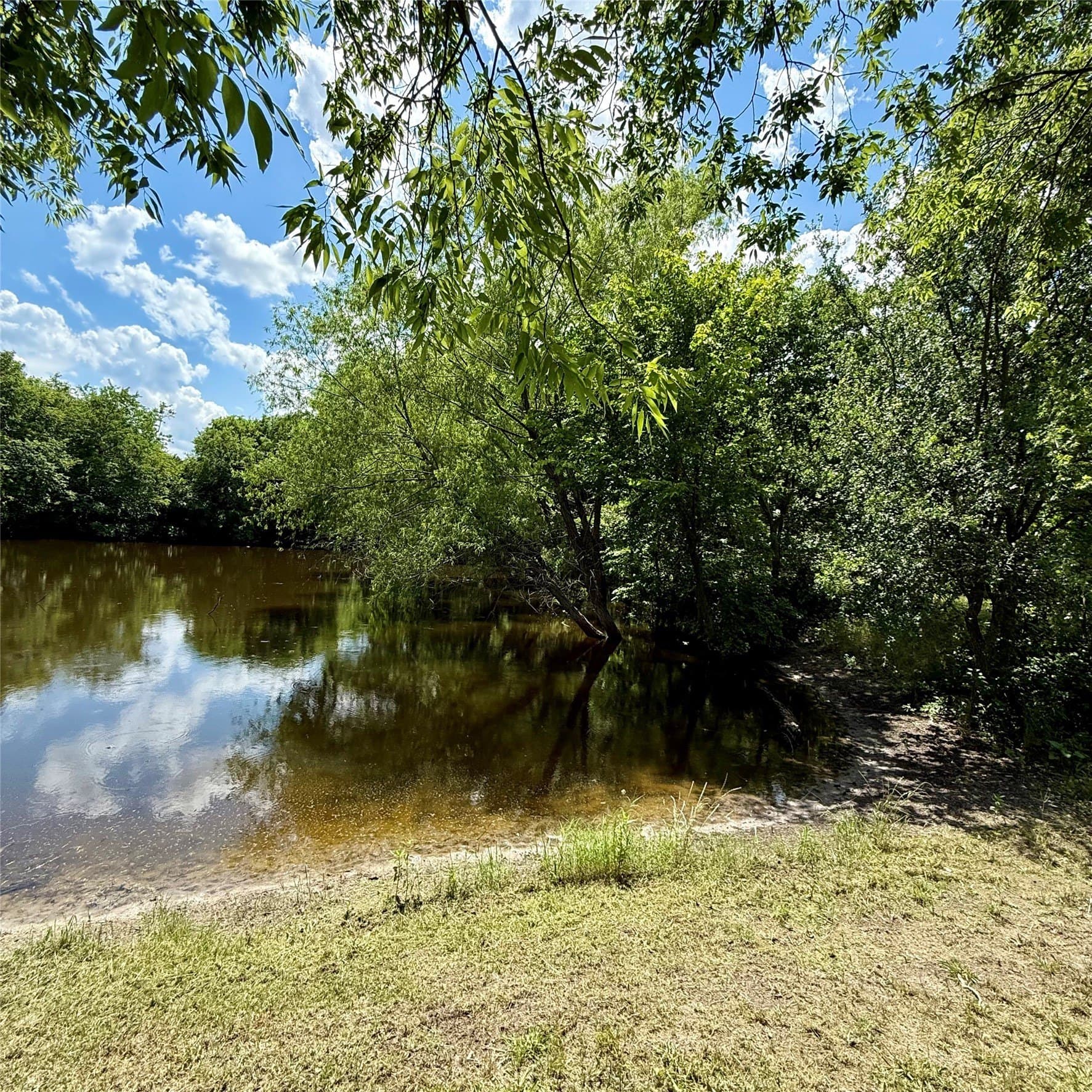 3.61 acres in Grayson County - photo 29