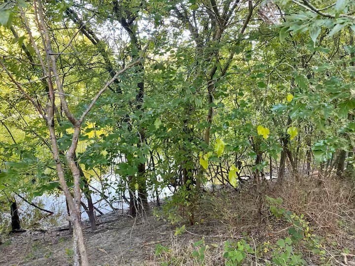 3.61 acres in Grayson County gallery image 3