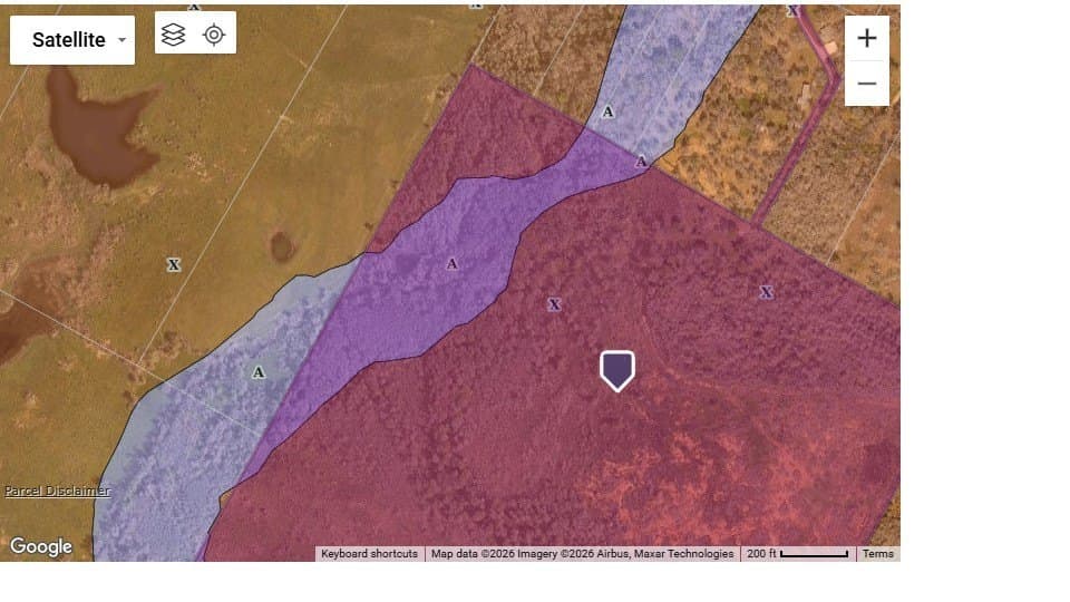 81.85 acres in Bastrop County - photo 7