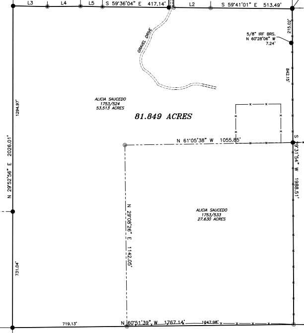 81.85 acres in Bastrop County - photo 3