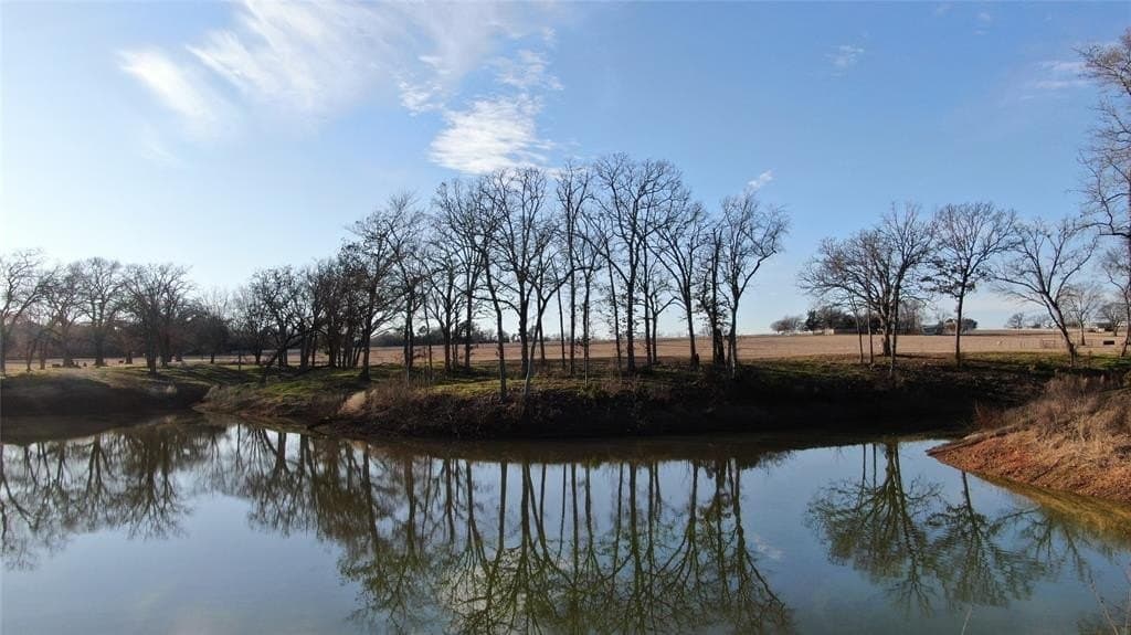 59.57 acres in Henderson County gallery image 4