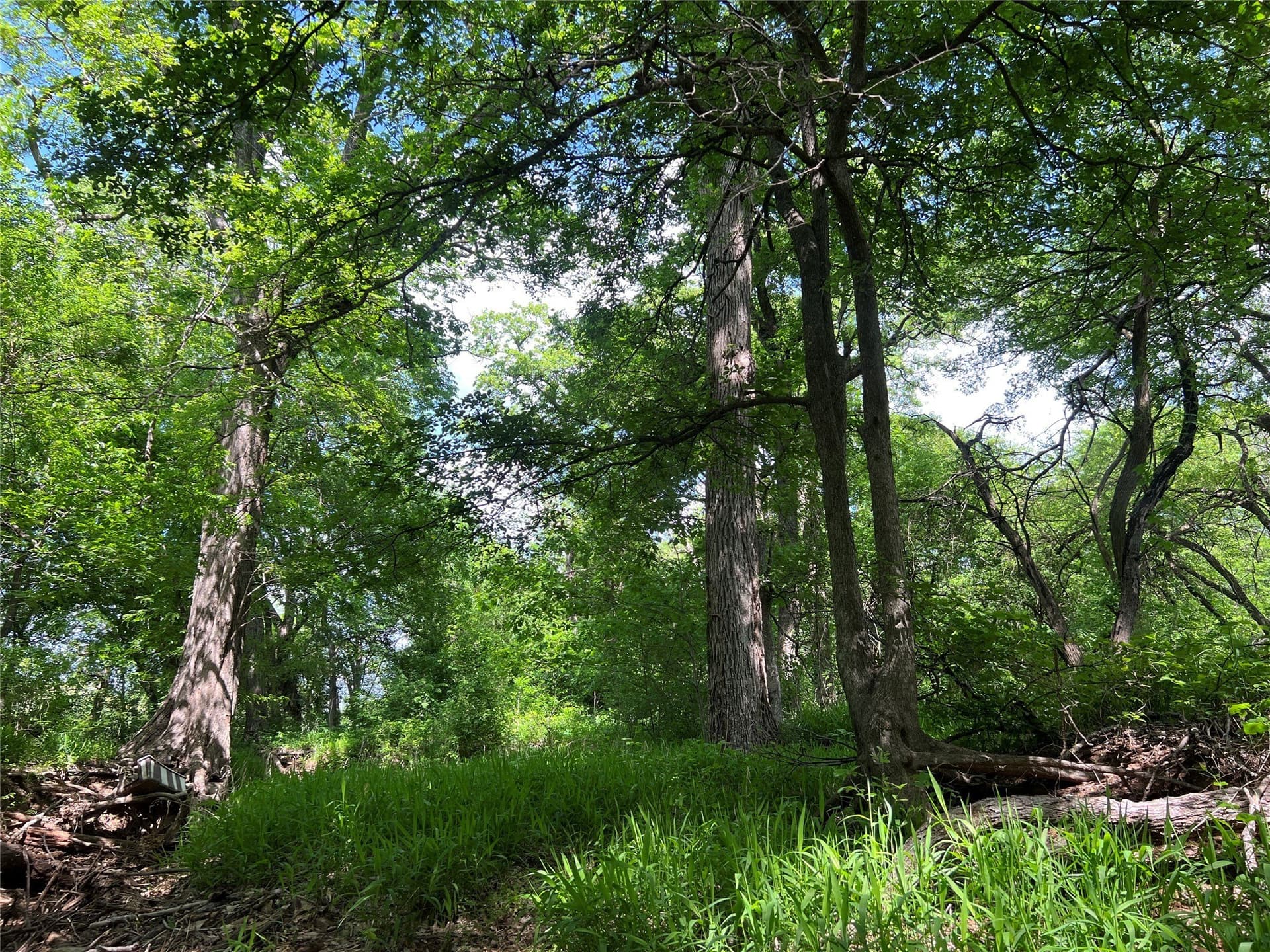 19.48 acres in Johnson County - photo 10