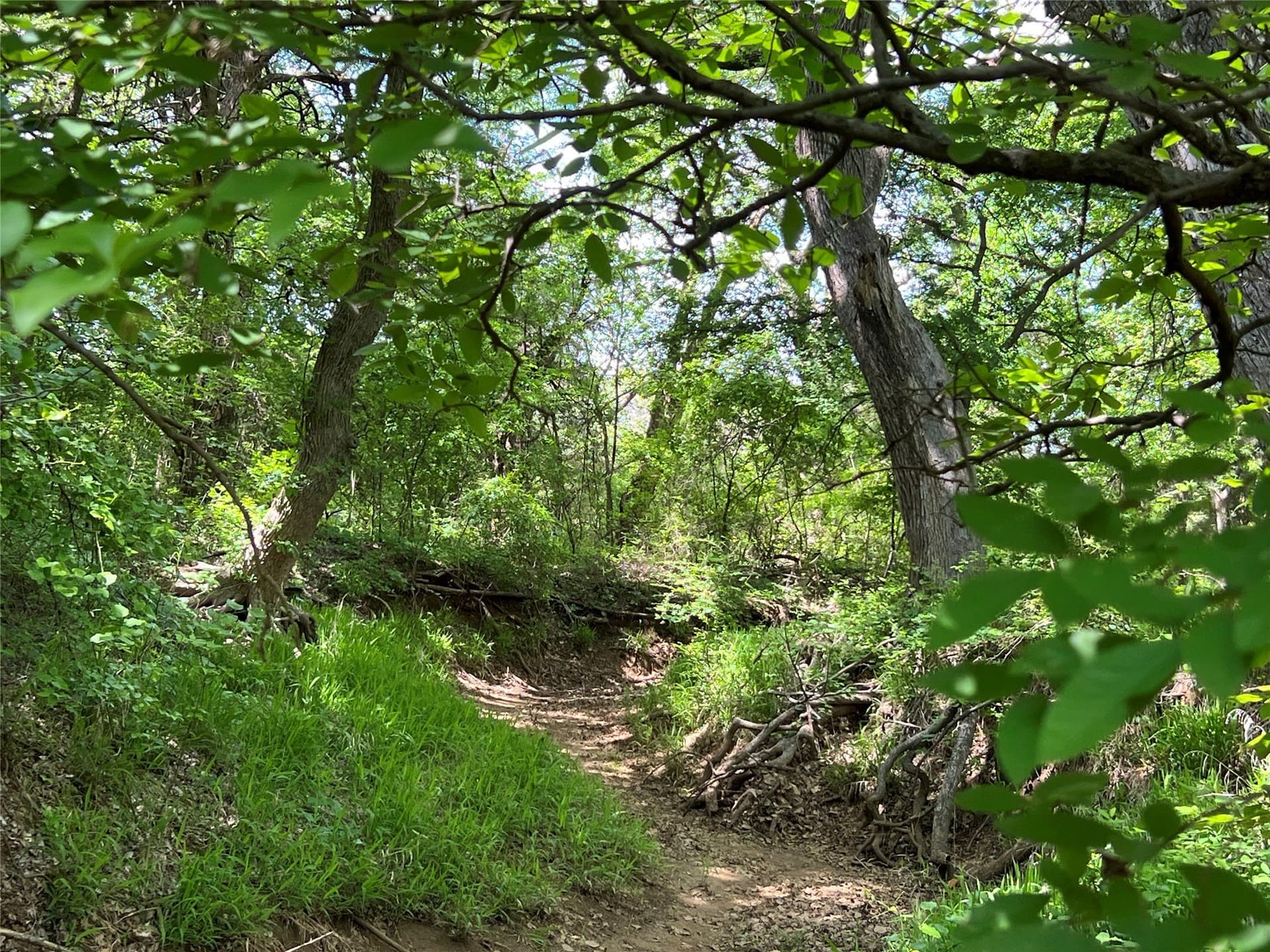 19.48 acres in Johnson County - photo 8