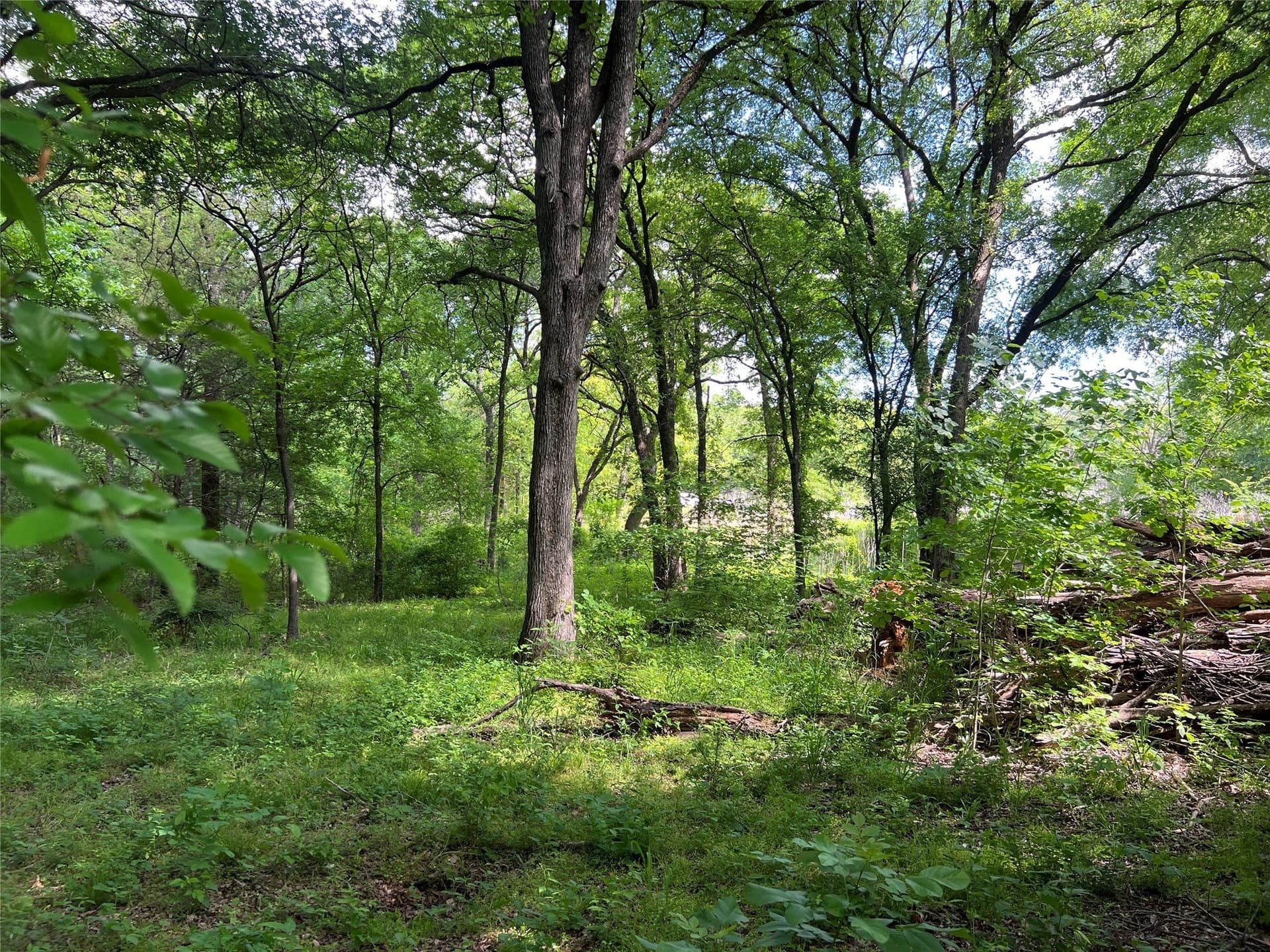 19.48 acres in Johnson County - photo 15