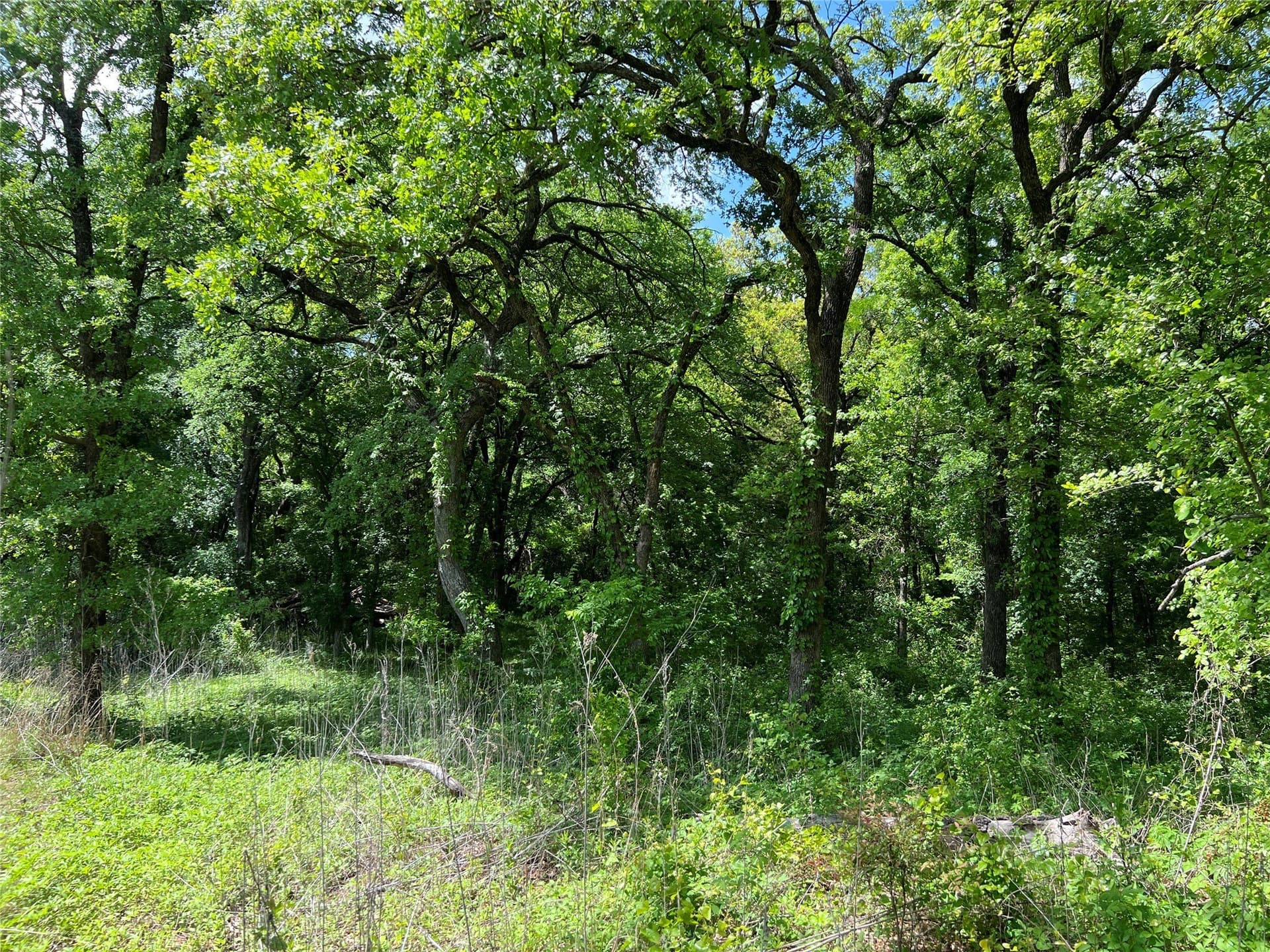 19.48 acres in Johnson County - photo 5
