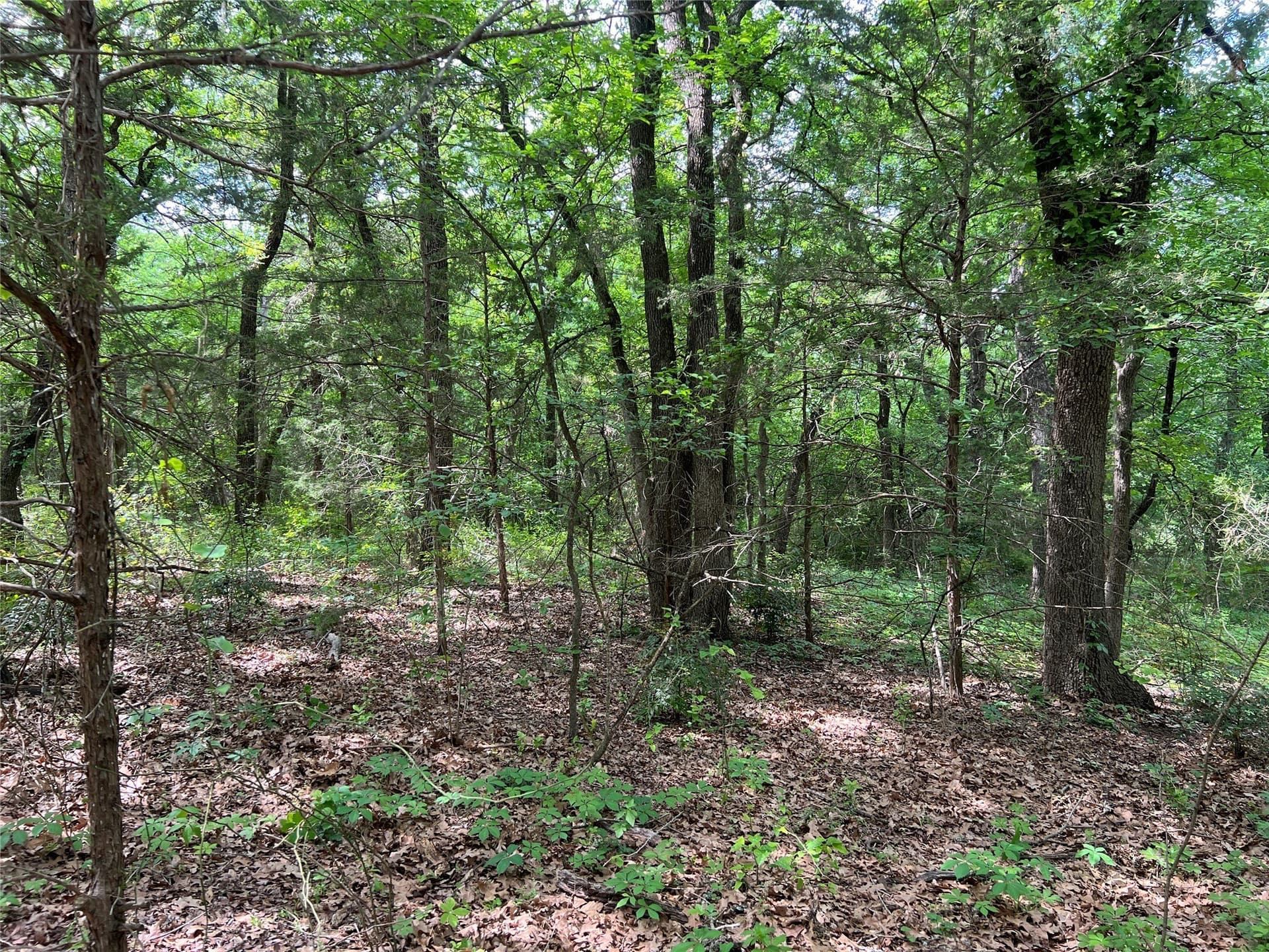 19.48 acres in Johnson County - photo 14
