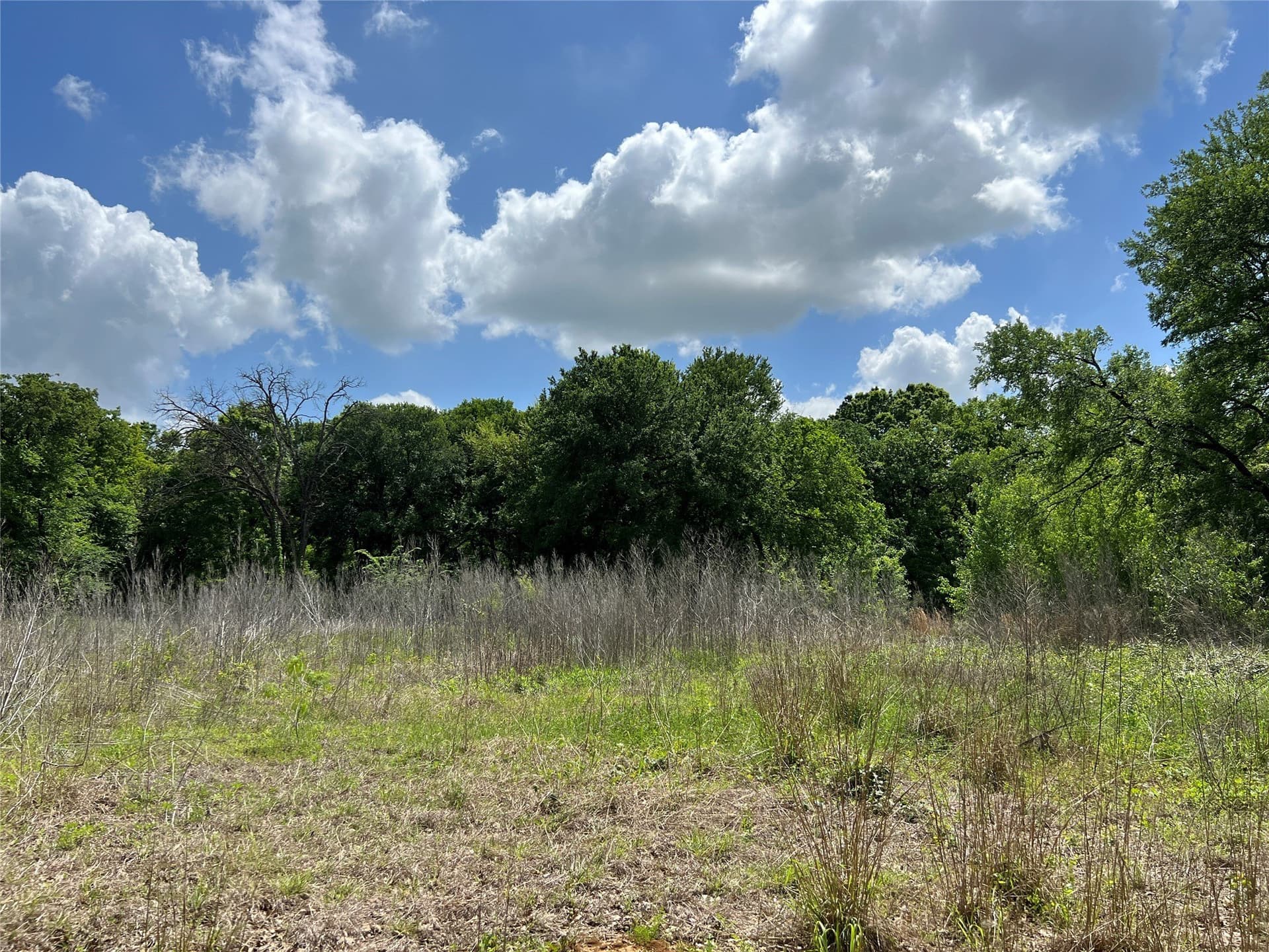 19.48 acres in Johnson County