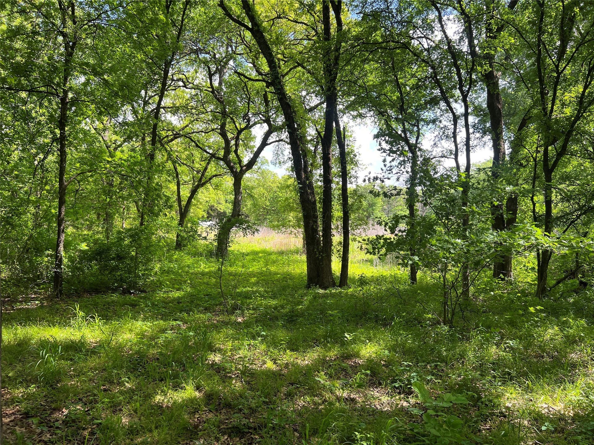 19.48 acres in Johnson County - photo 2