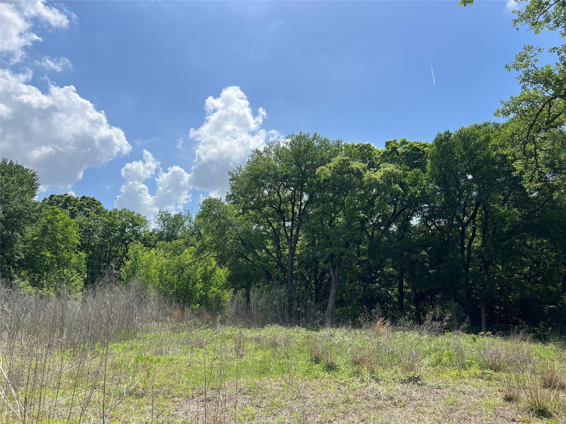 19.48 acres in Johnson County - photo 3