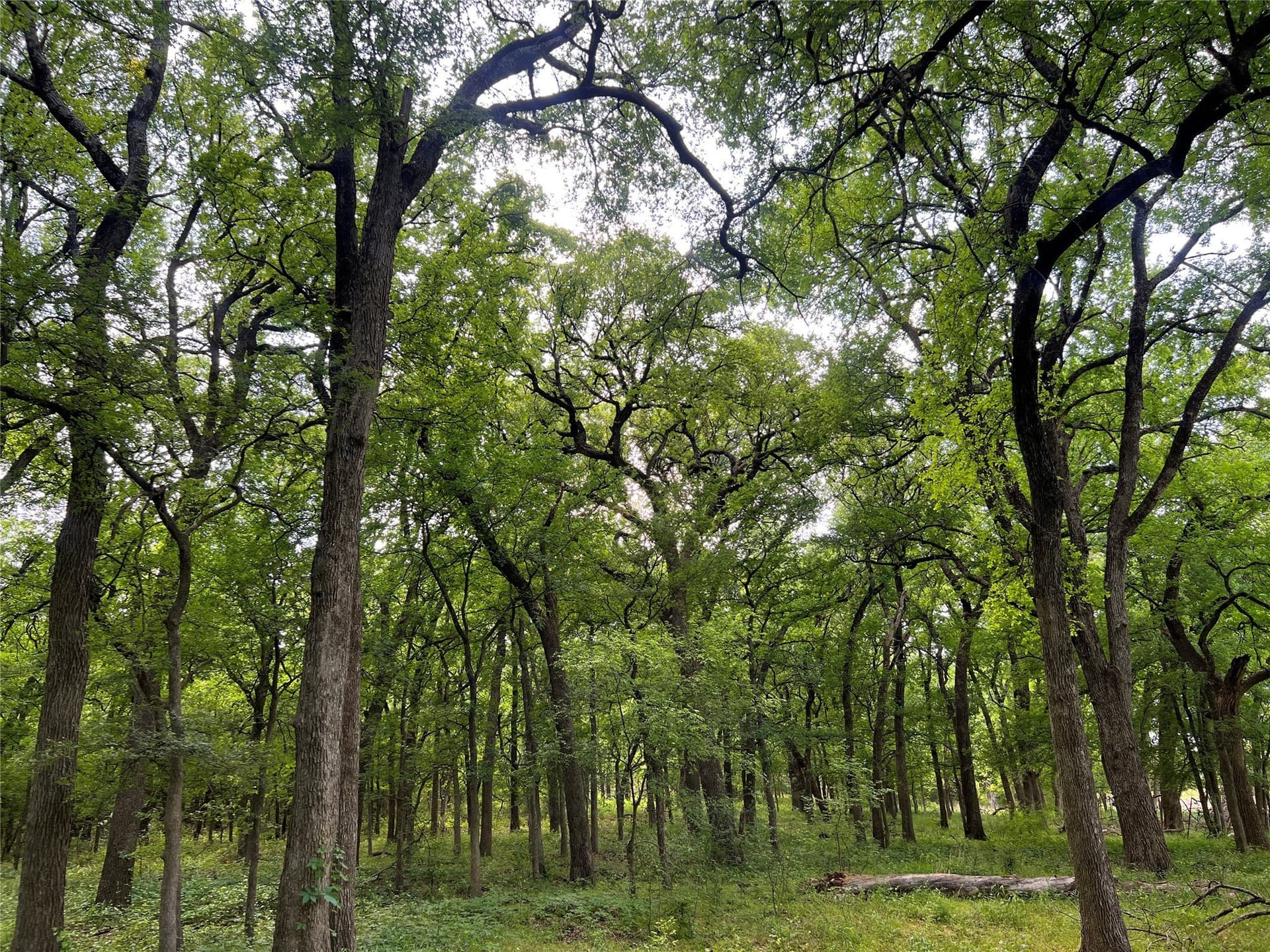 19.48 acres in Johnson County - photo 12
