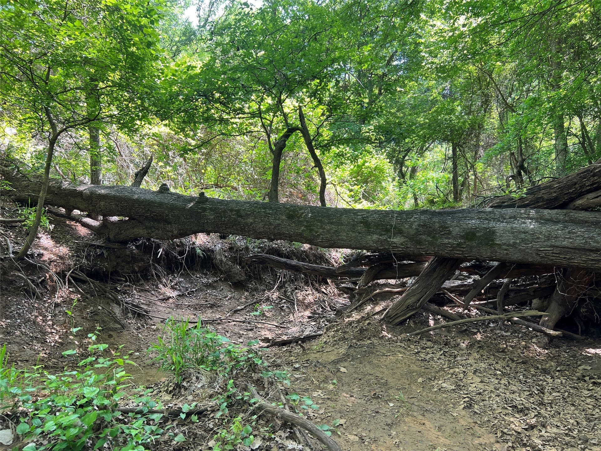 19.48 acres in Johnson County - photo 9