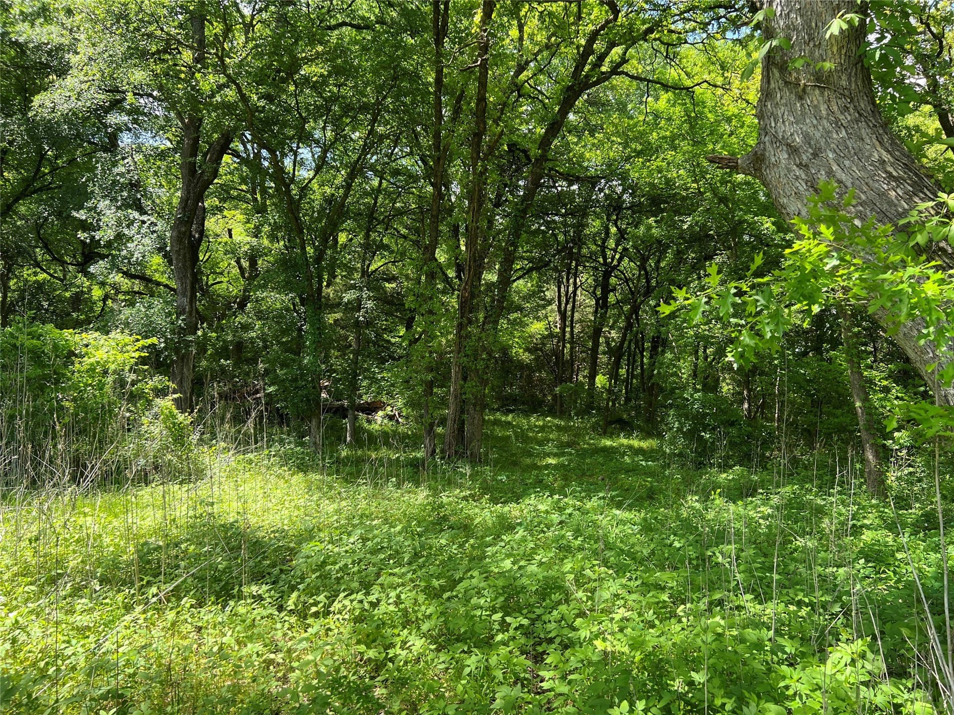 19.48 acres in Johnson County - photo 7