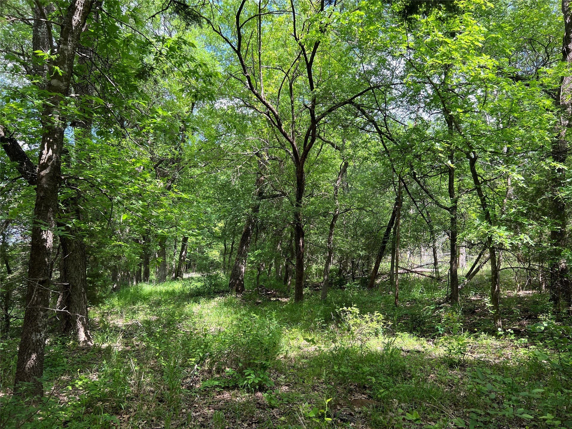 19.48 acres in Johnson County - photo 13