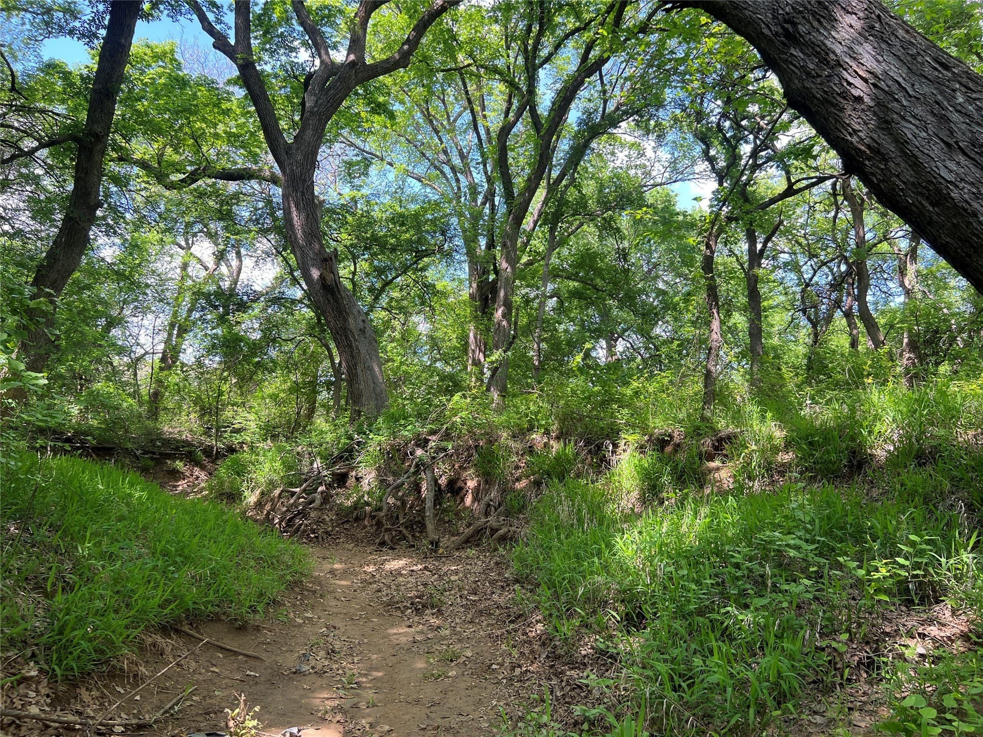 19.48 acres in Johnson County - photo 4