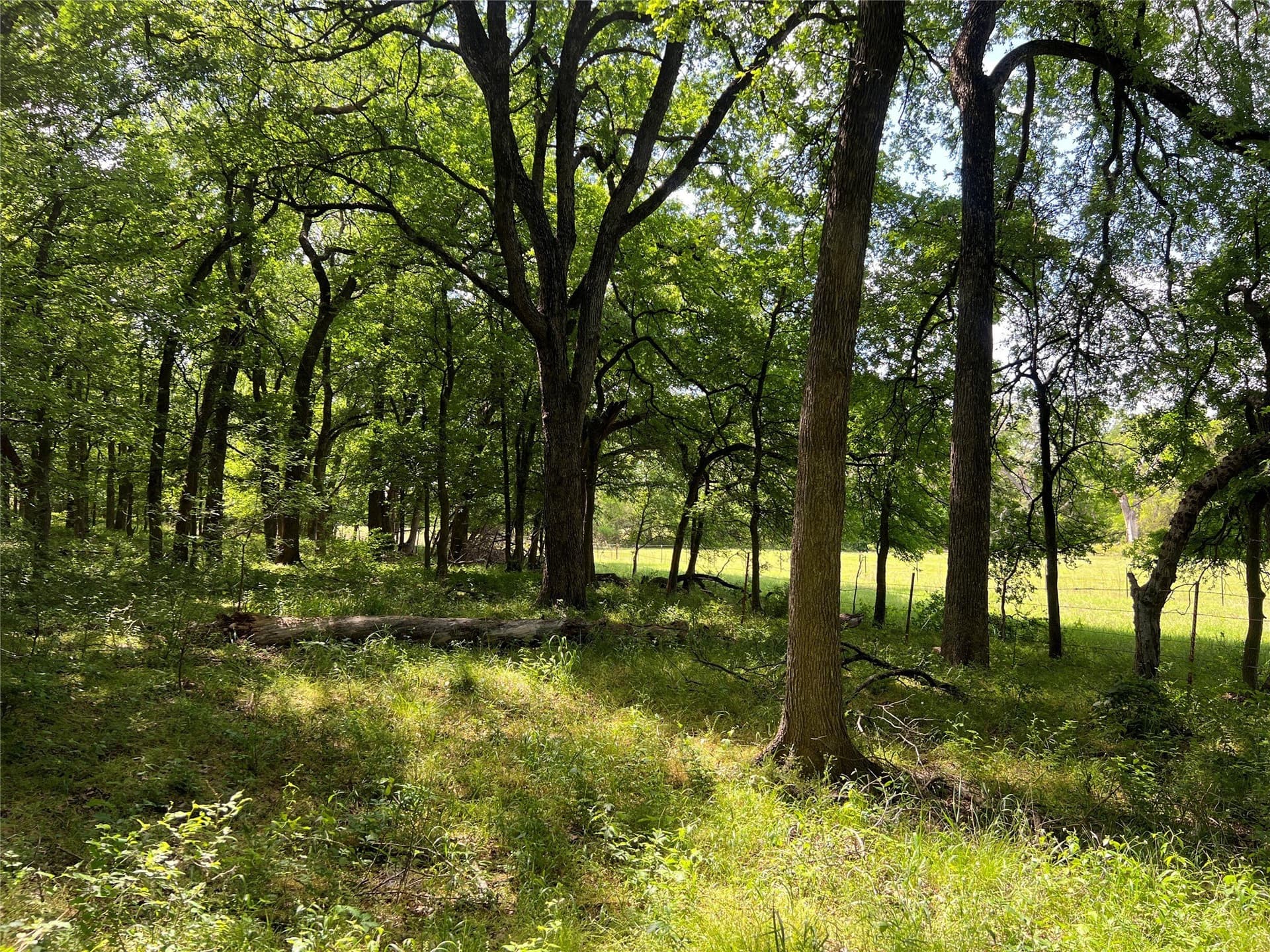 19.48 acres in Johnson County - photo 11