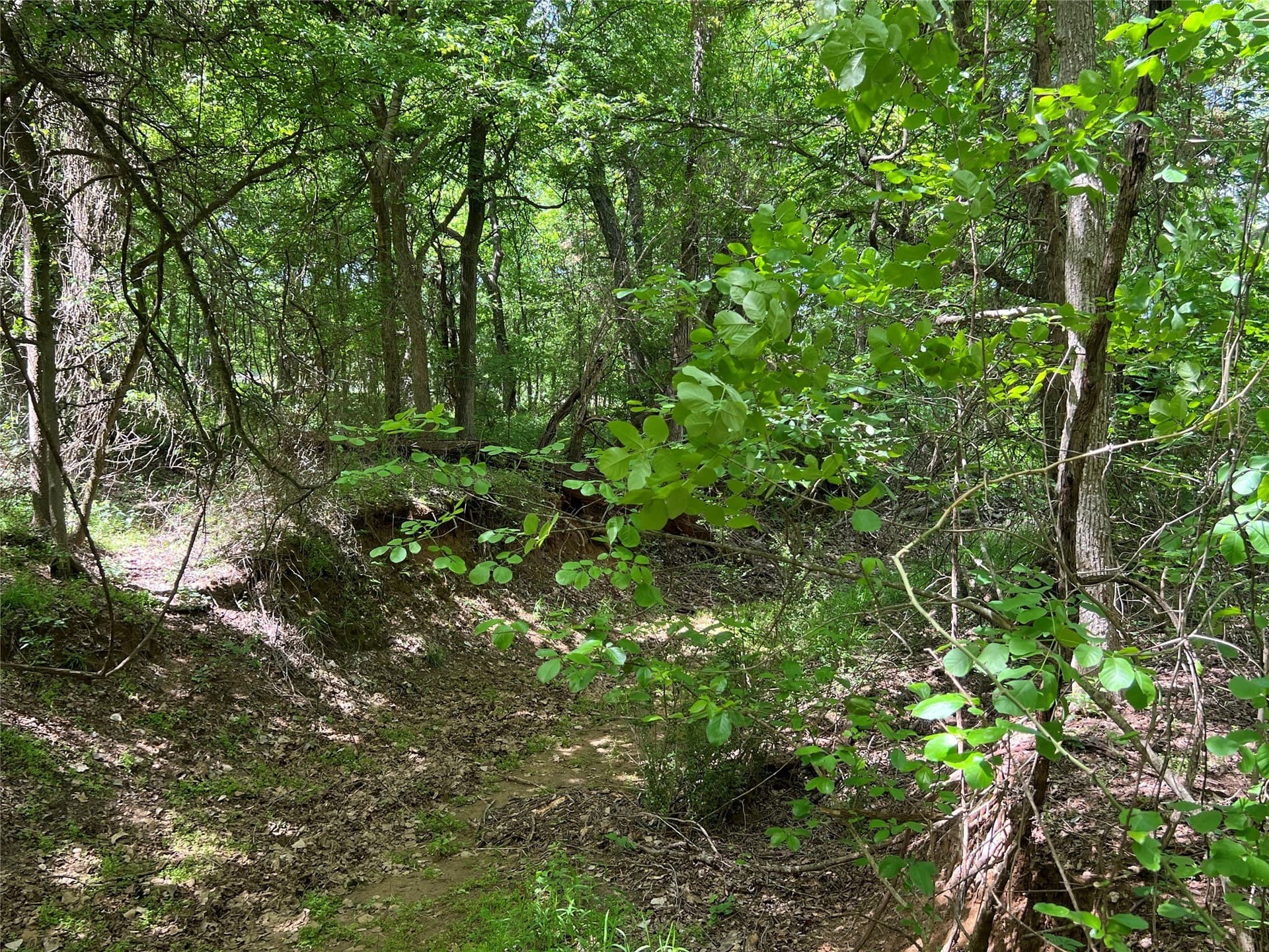 19.48 acres in Johnson County - photo 6