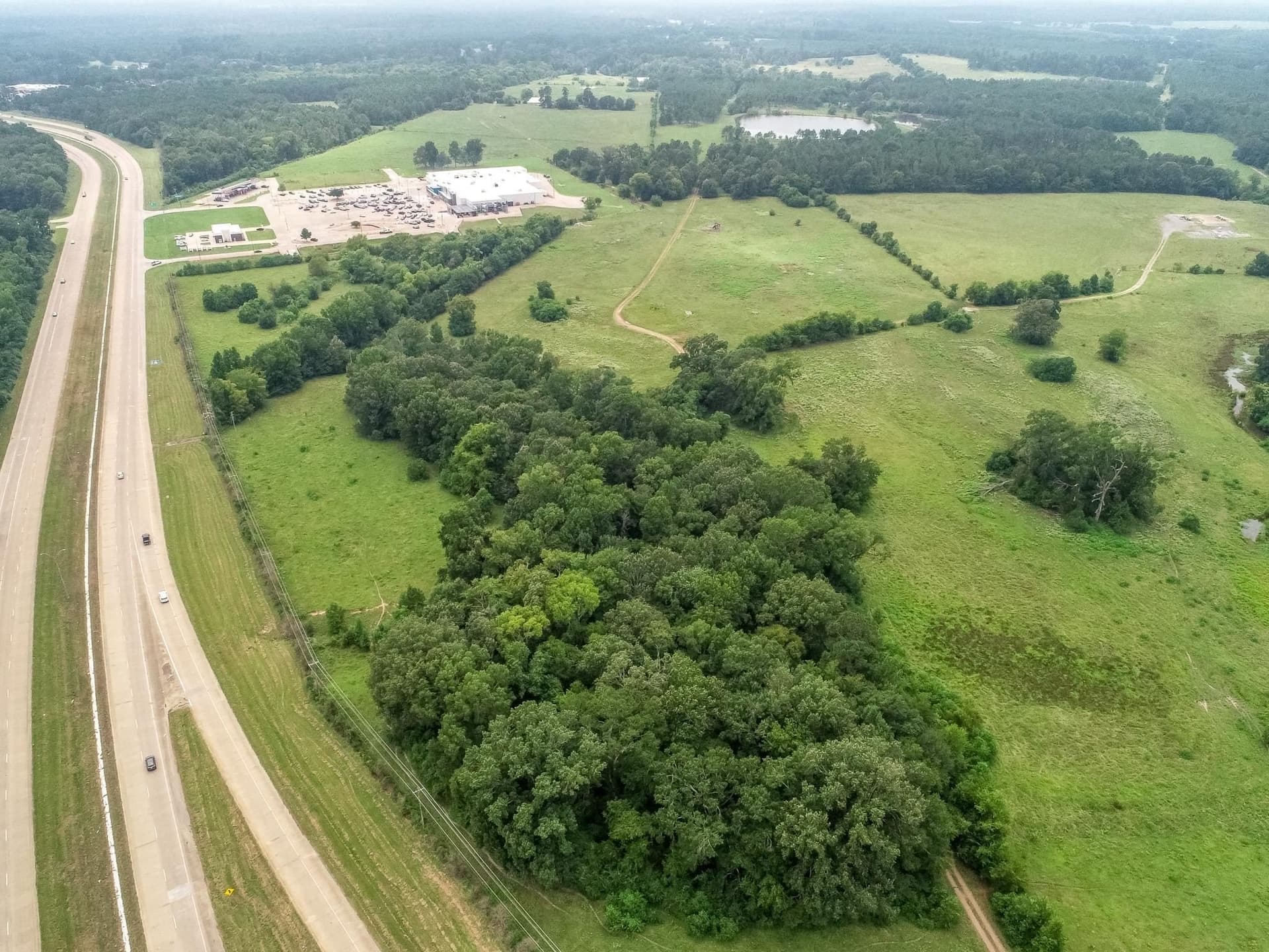 112 acres in Panola County gallery image 4