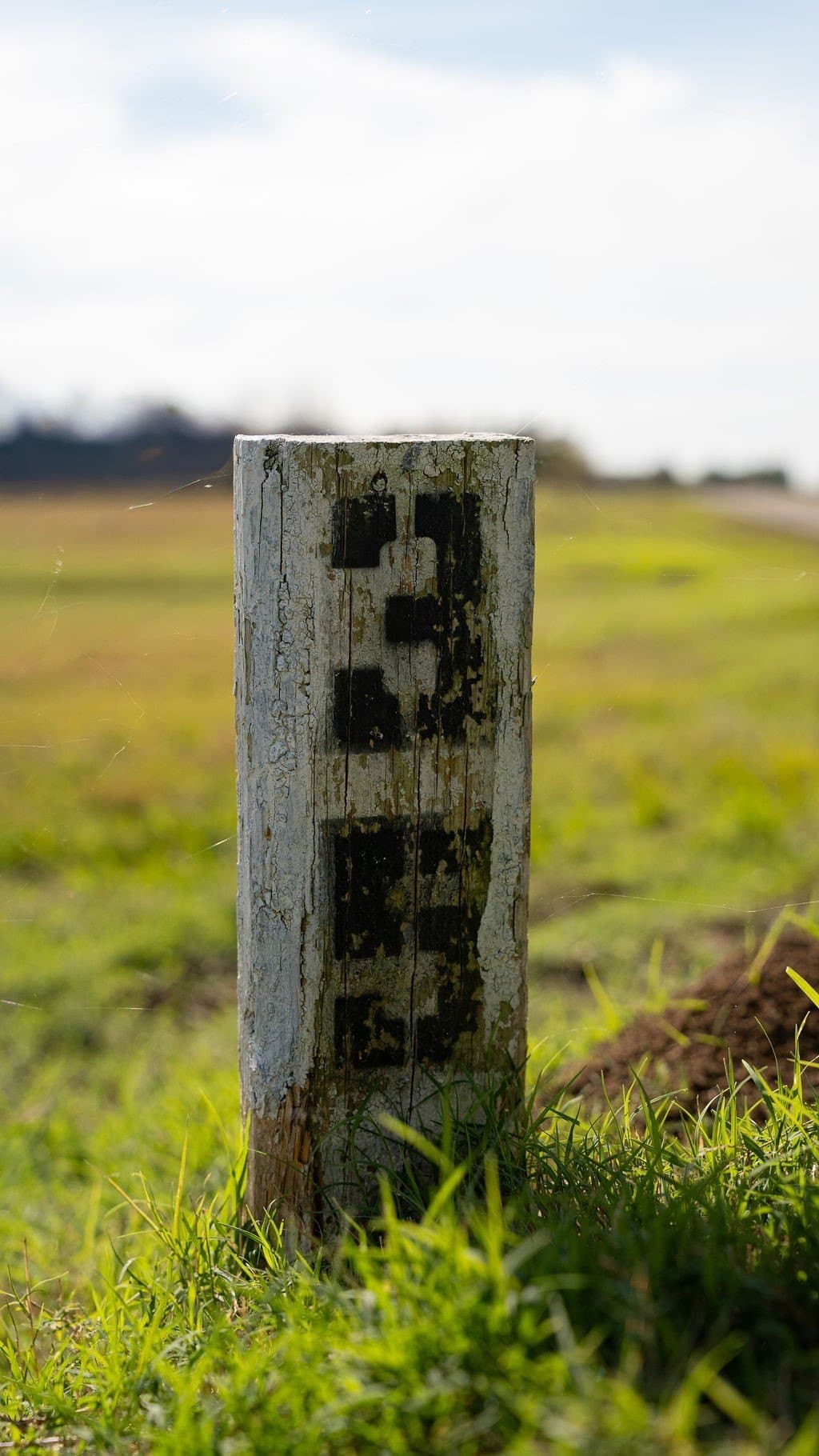 1.01 acres in Fannin County - photo 17