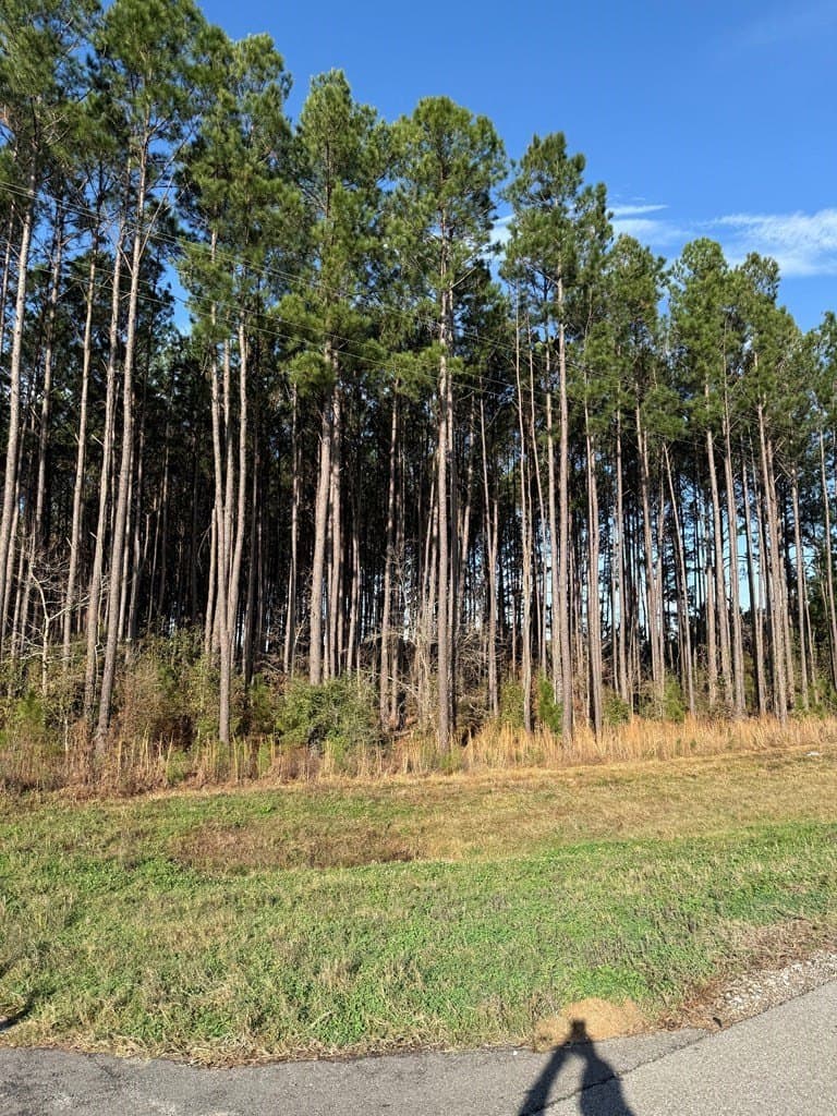 12.37 acres in Texas County - photo 16