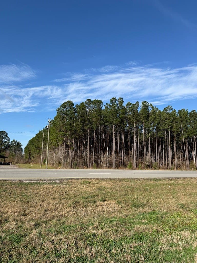 12.37 acres in Texas County - photo 6