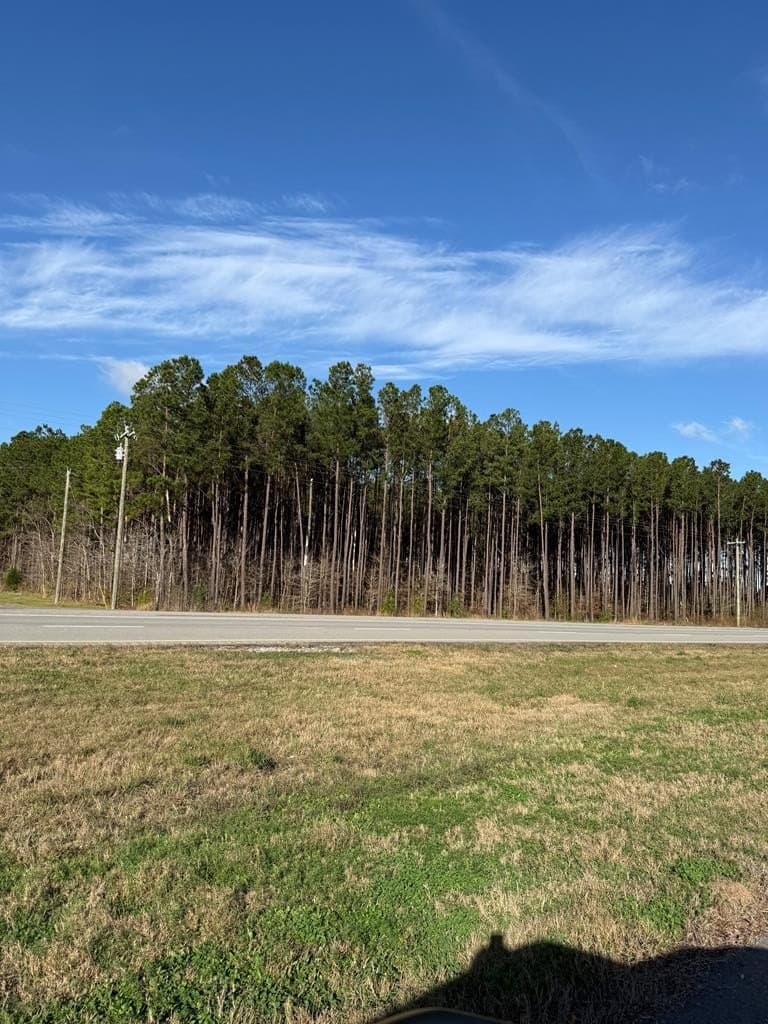 12.37 acres in Texas County