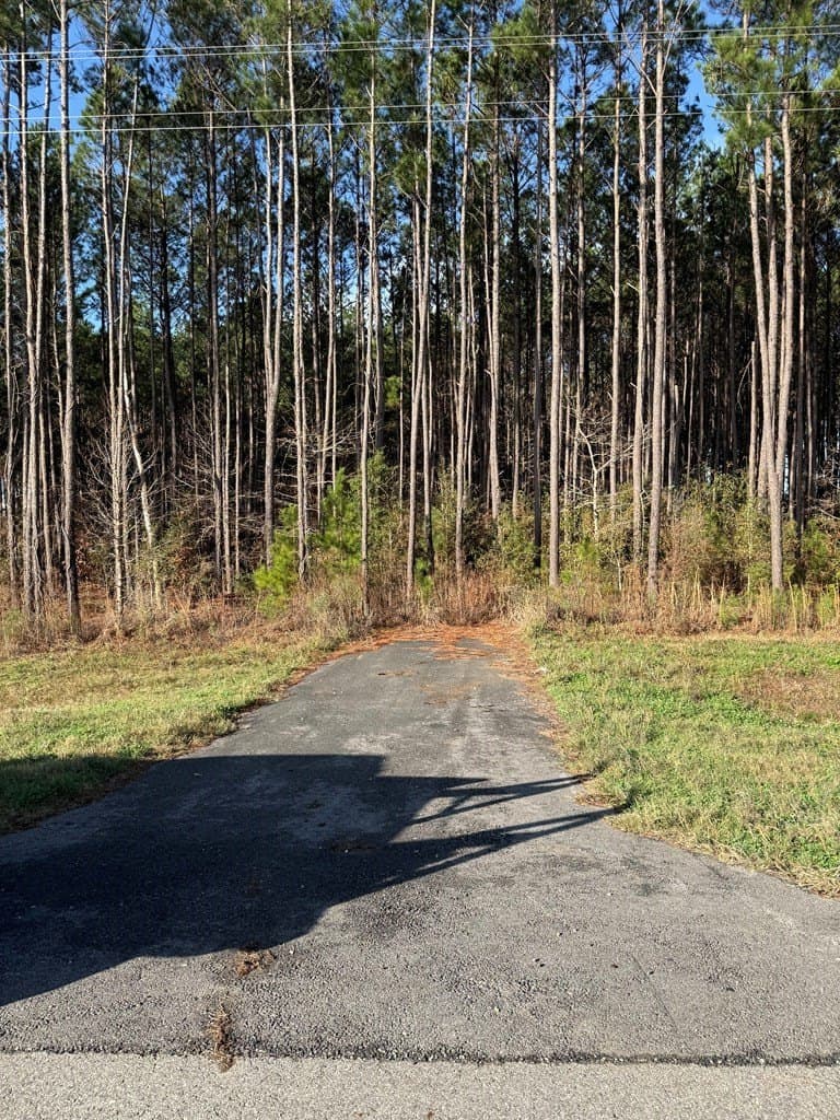 12.37 acres in Texas County - photo 18