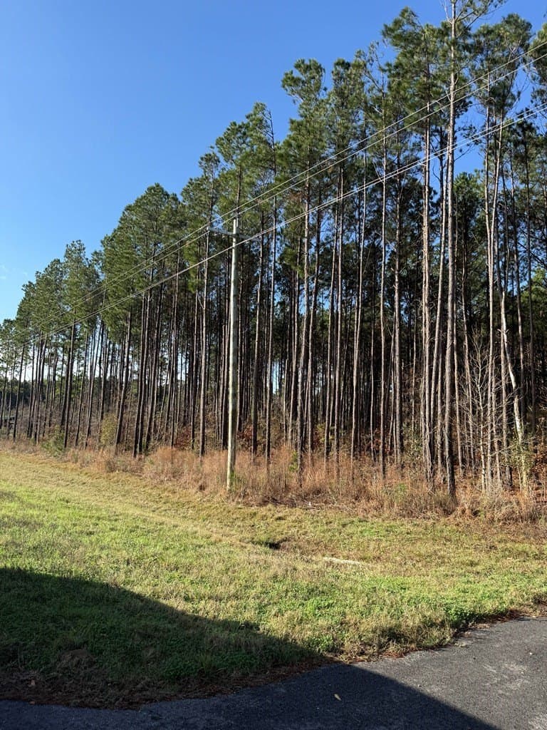 12.37 acres in Texas County - photo 15