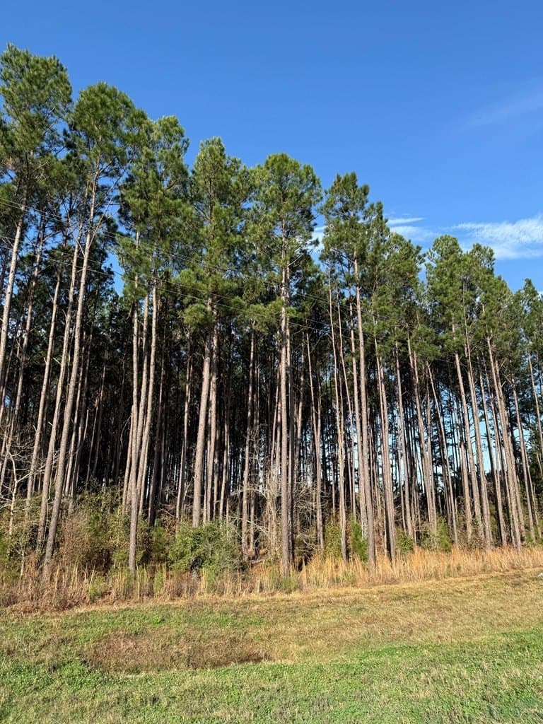 12.37 acres in Texas County - photo 13