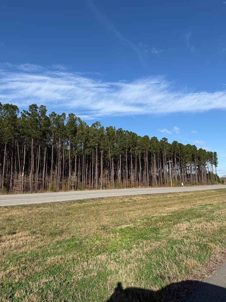 12.37 acres in Texas County gallery image 3