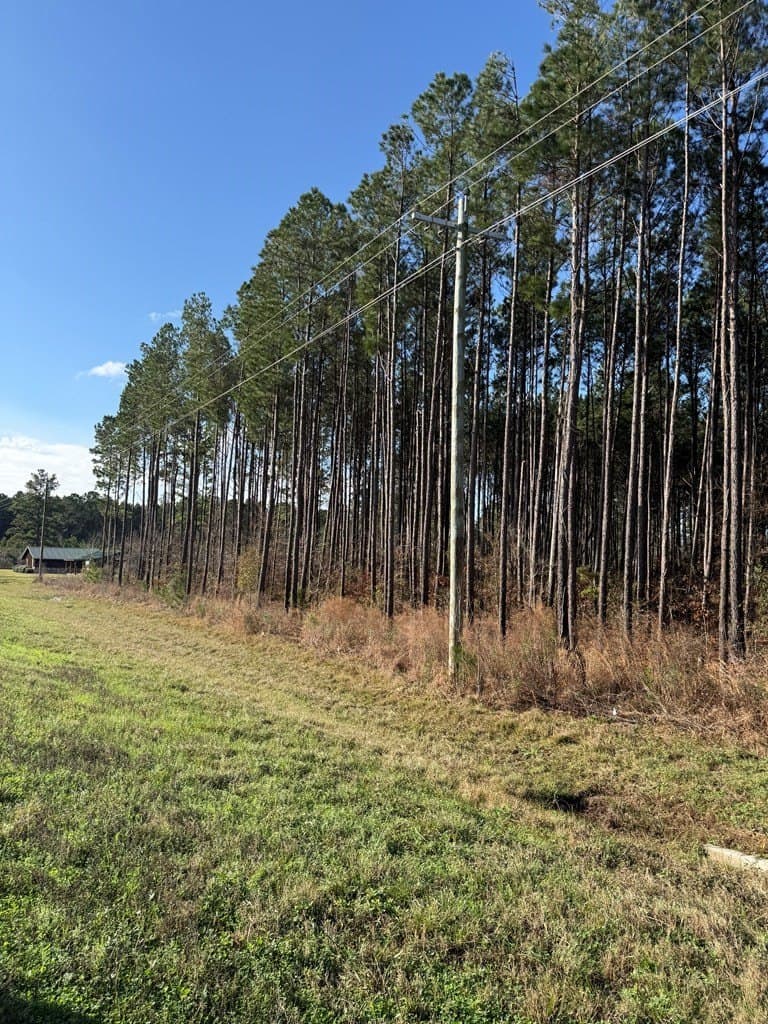 12.37 acres in Texas County - photo 8