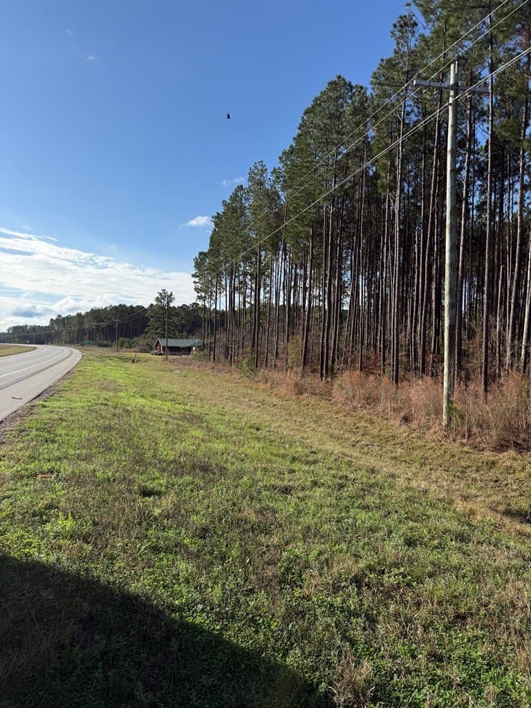 12.37 acres in Texas County gallery image 4