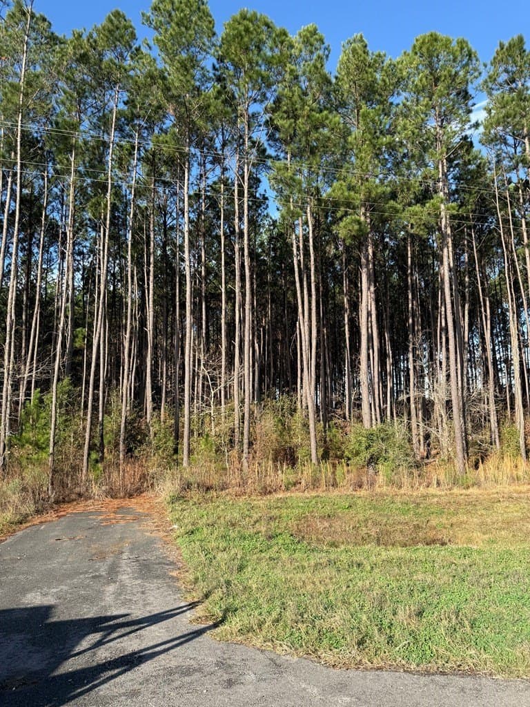 12.37 acres in Texas County - photo 17