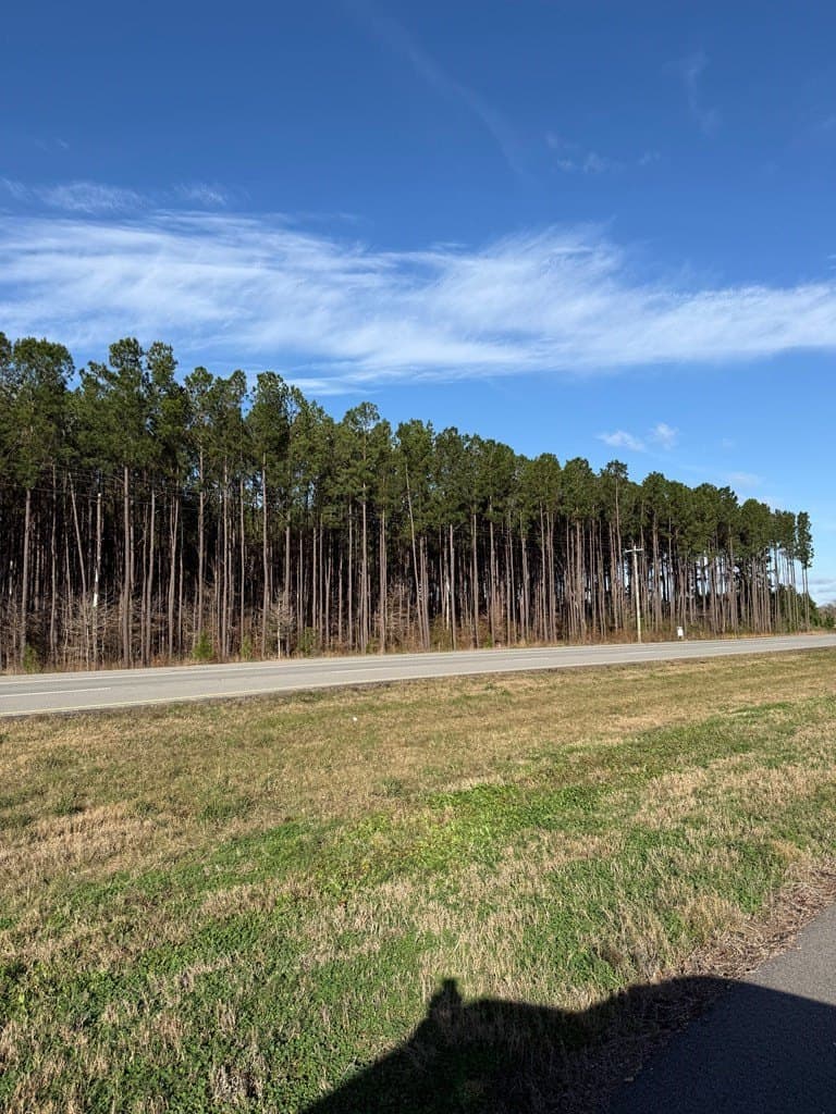 12.37 acres in Texas County featured view