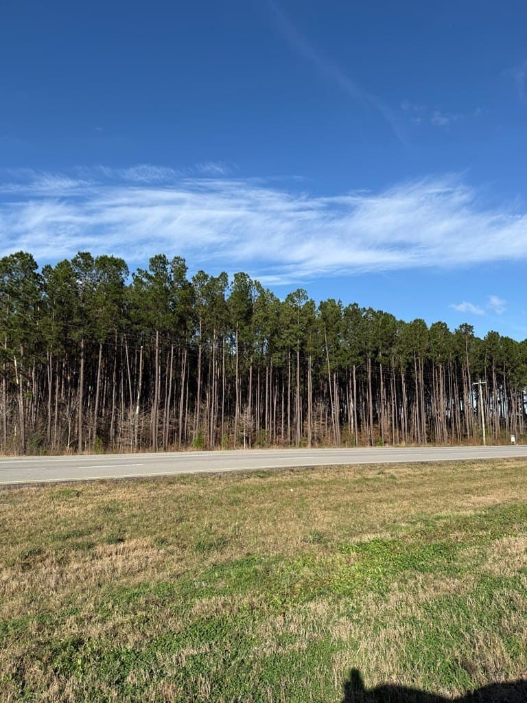 12.37 acres in Texas County - photo 7