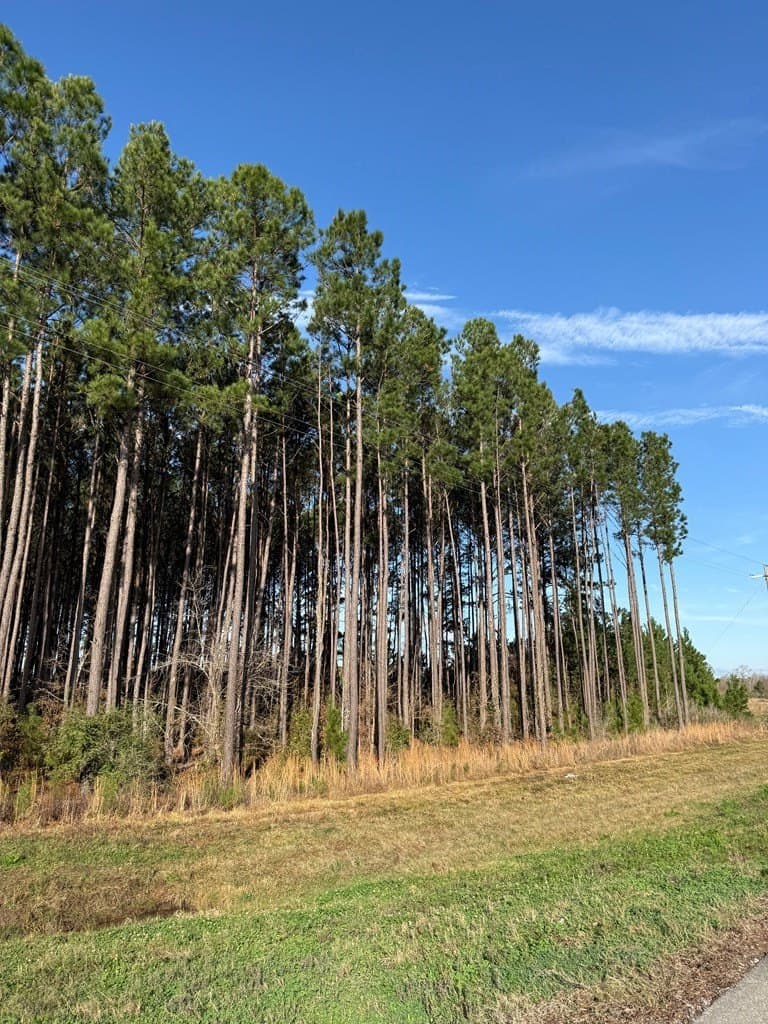 12.37 acres in Texas County - photo 14