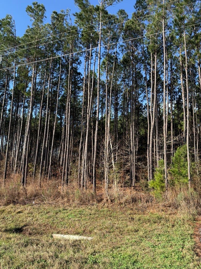 12.37 acres in Texas County - photo 9