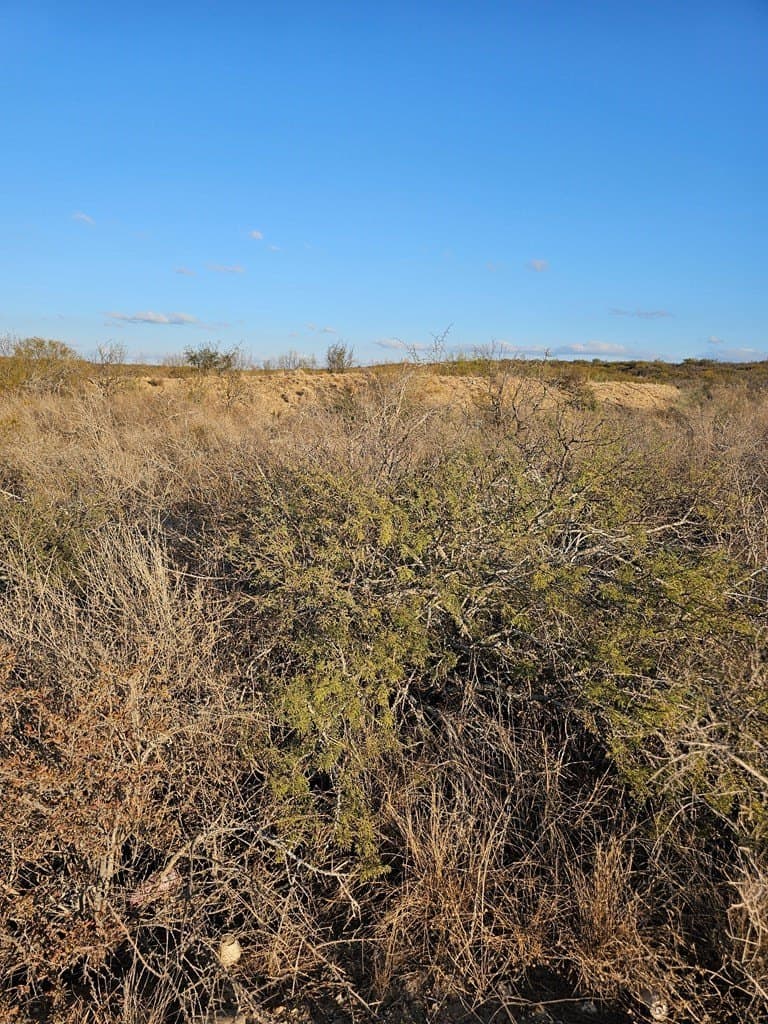 36.3 acres in Maverick County - photo 6