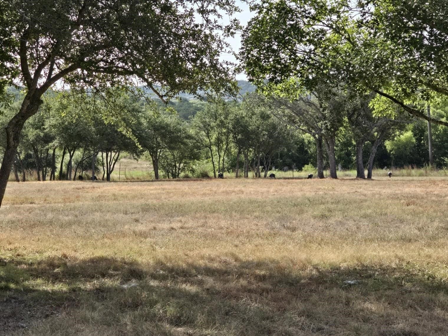 19.35 acres in Burnet County - photo 41