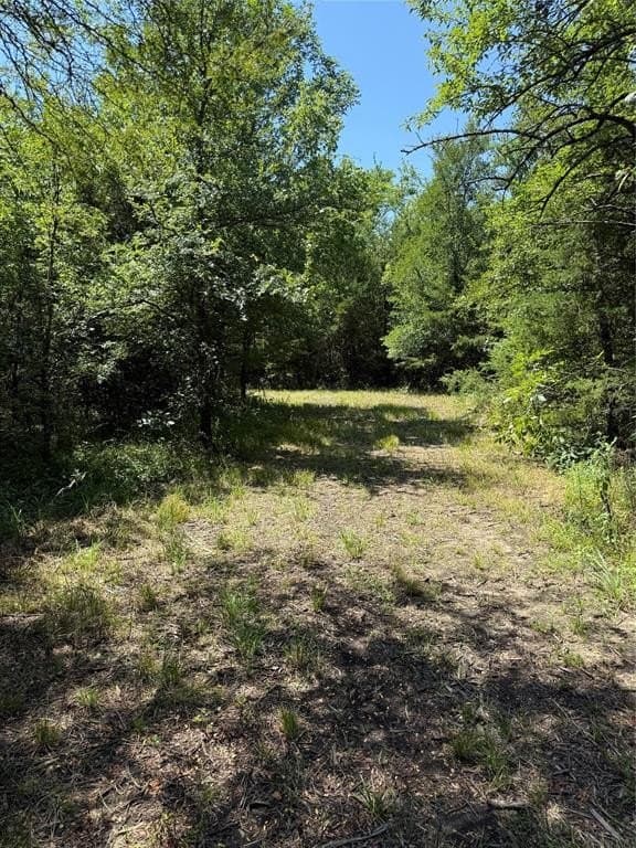 3.55 acres in Fannin County gallery image 2