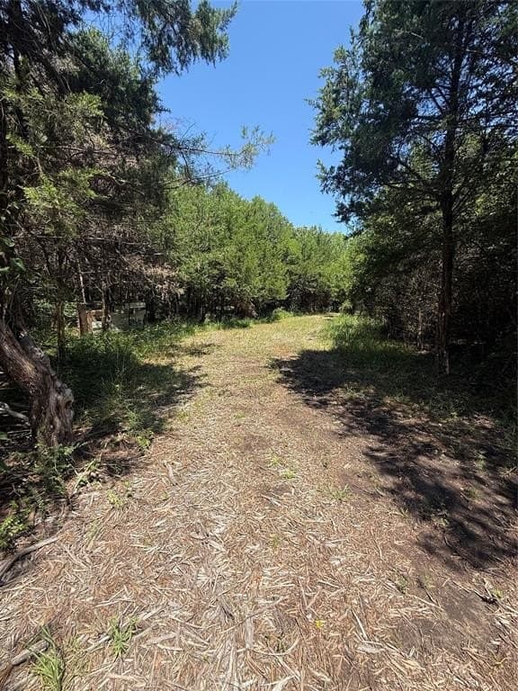 3.55 acres in Fannin County gallery image 3