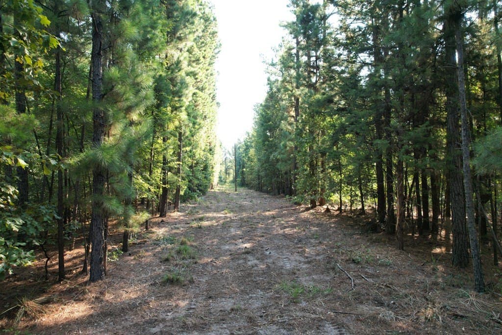124.03 acres in Texas County - photo 3