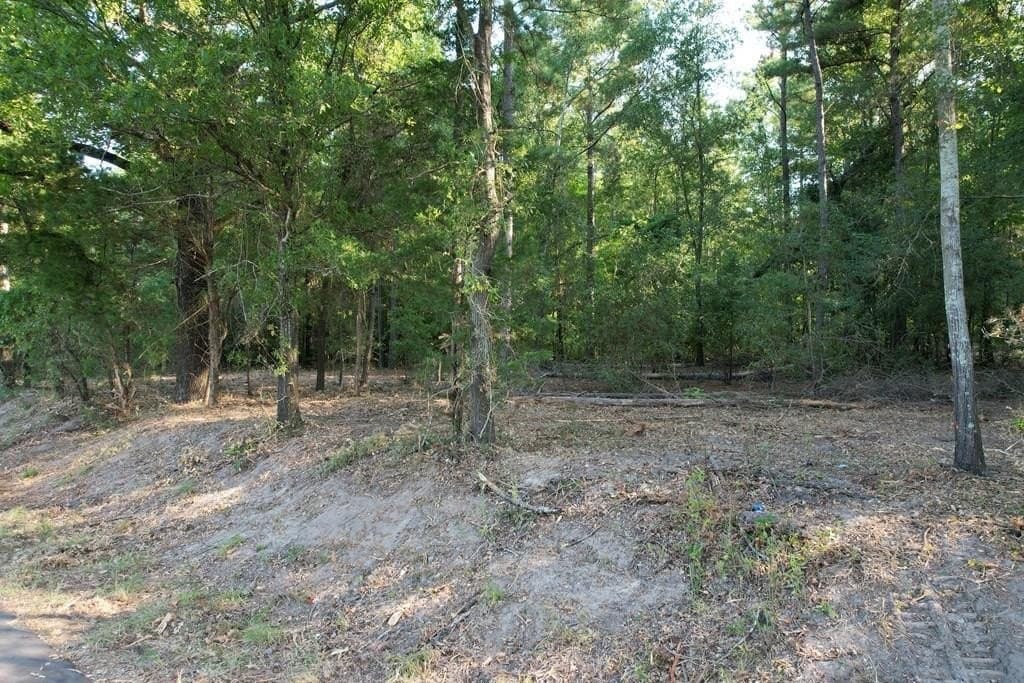 124.03 acres in Texas County - photo 2