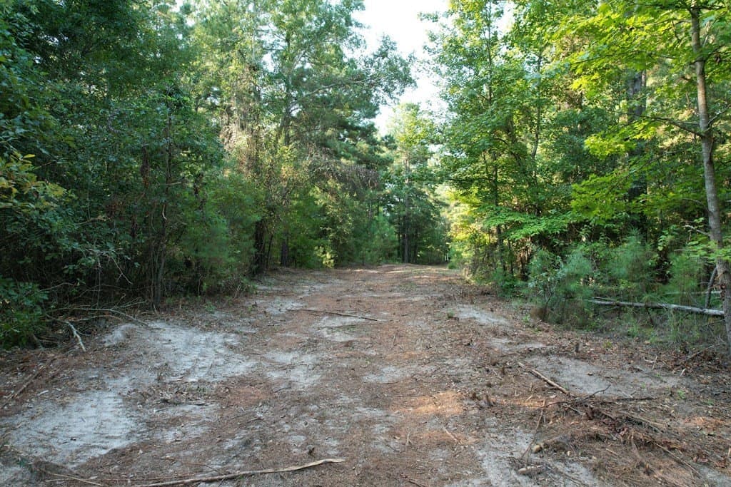 124.03 acres in Texas County - photo 7