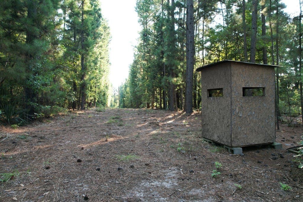 124.03 acres in Texas County - photo 4